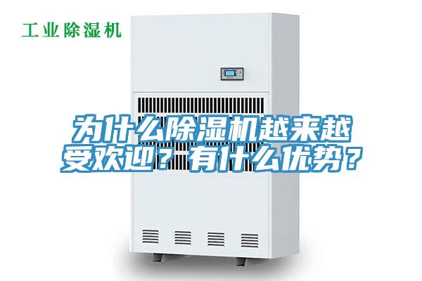 為什么除濕機越來(lái)越受歡迎？有什么優(yōu)勢？