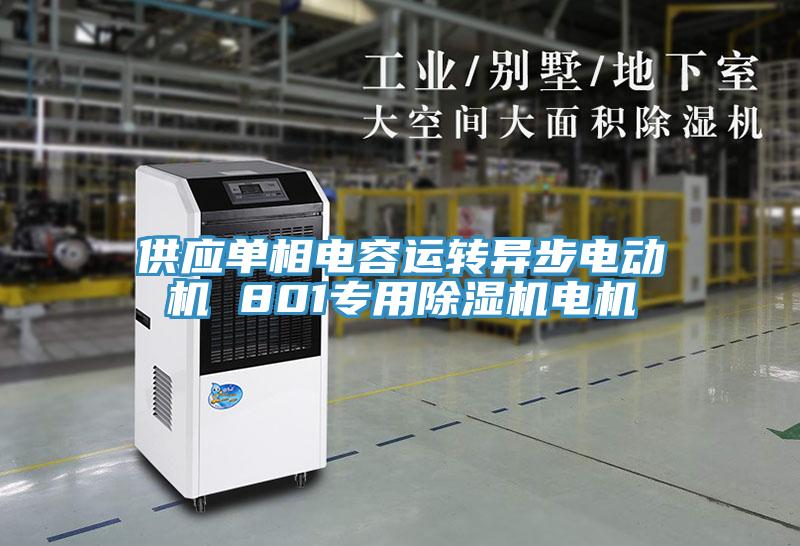 供應單相電容運轉異步電動(dòng)機 801專(zhuān)用除濕機電機