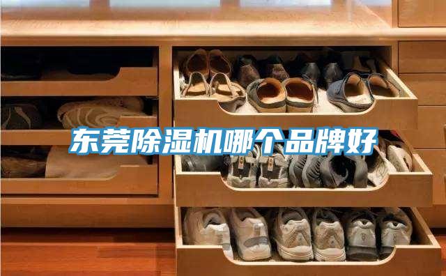 東莞除濕機哪個(gè)品牌好