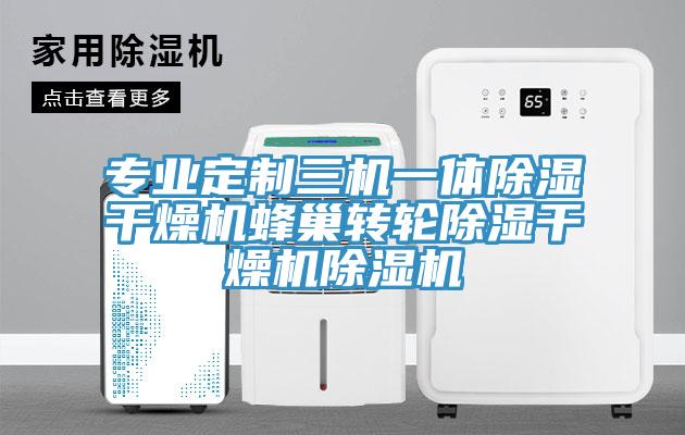 專(zhuān)業(yè)定制三機一體除濕干燥機蜂巢轉輪除濕干燥機除濕機