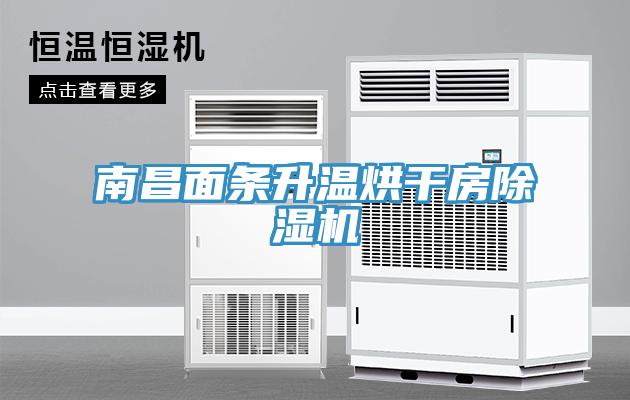 南昌面條升溫烘干房除濕機