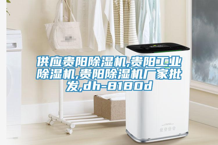 供應貴陽(yáng)除濕機,貴陽(yáng)工業(yè)除濕機,貴陽(yáng)除濕機廠(chǎng)家批發(fā),dh-8180d