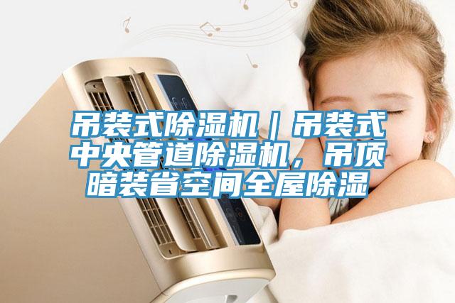 吊裝式除濕機｜吊裝式中央管道除濕機，吊頂暗裝省空間全屋除濕