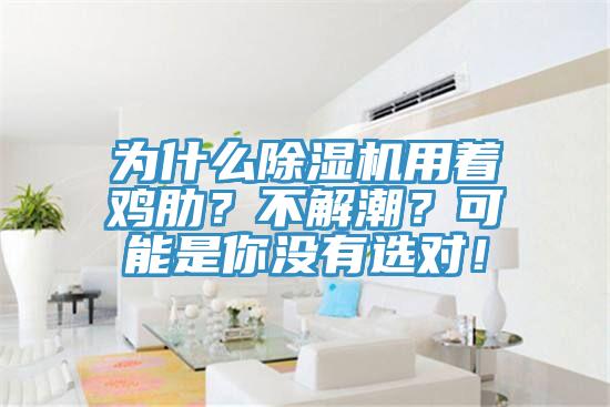 為什么除濕機用著(zhù)雞肋？不解潮？可能是你沒(méi)有選對！