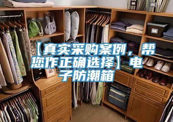 【真實(shí)采購案例，幫您作正確選擇】電子防潮箱