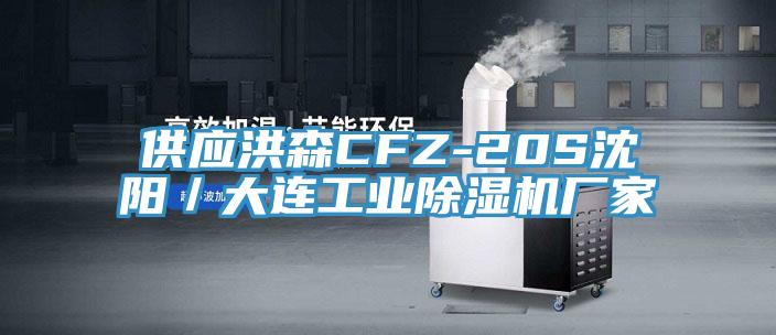 供應洪森CFZ-20S沈陽(yáng)／大連工業(yè)除濕機廠(chǎng)家