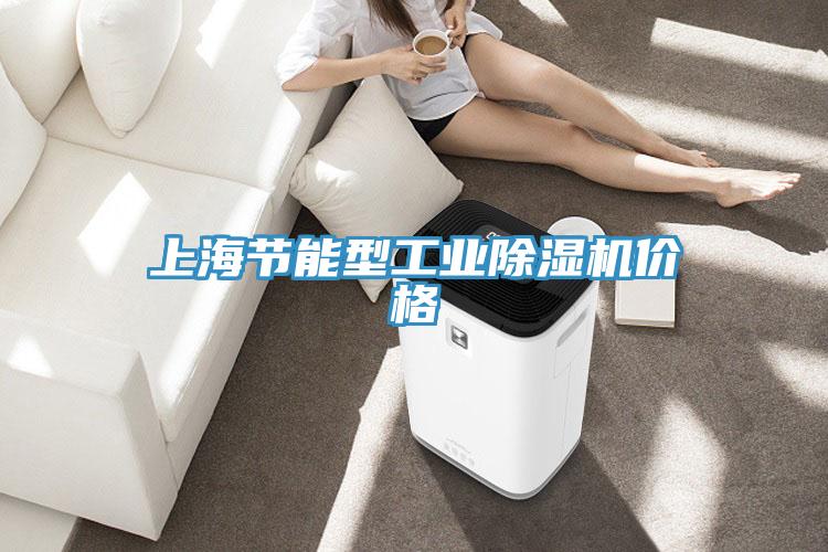 上海節能型工業(yè)除濕機價(jià)格