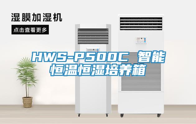 HWS-P500C 智能恒溫恒濕培養箱