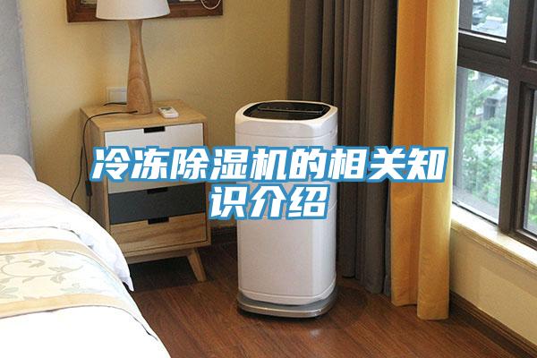 冷凍除濕機的相關(guān)知識介紹