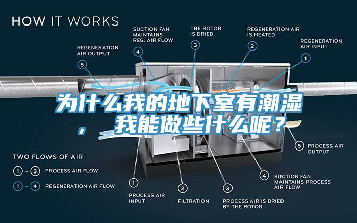 為什么我的地下室有潮濕， 我能做些什么呢？