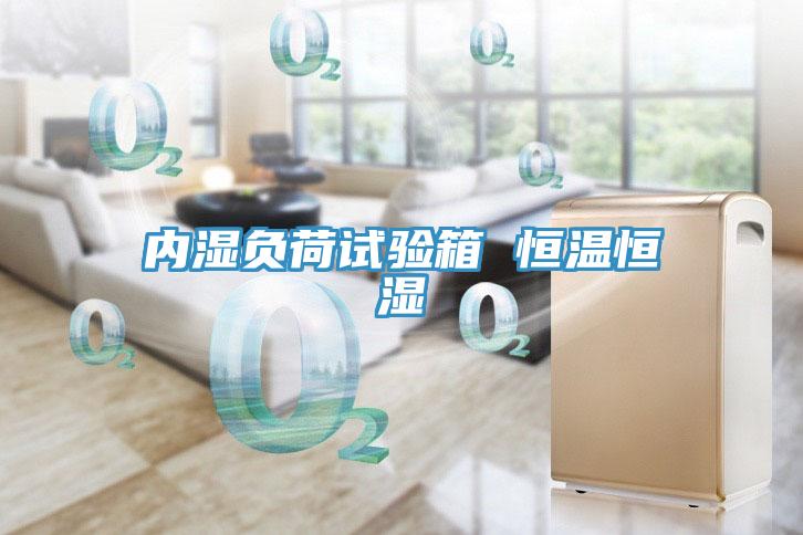 內濕負荷試驗箱 恒溫恒濕