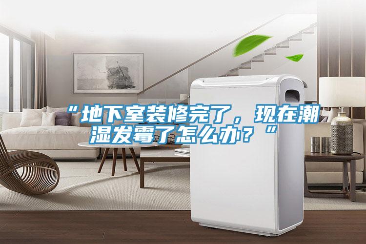 “地下室裝修完了，現在潮濕發(fā)霉了怎么辦？”
