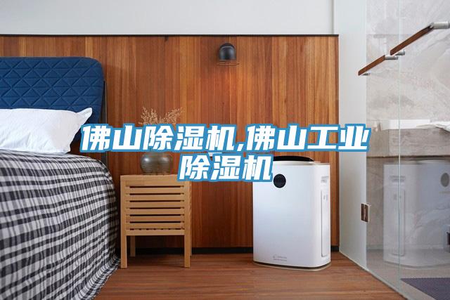 佛山除濕機,佛山工業(yè)除濕機