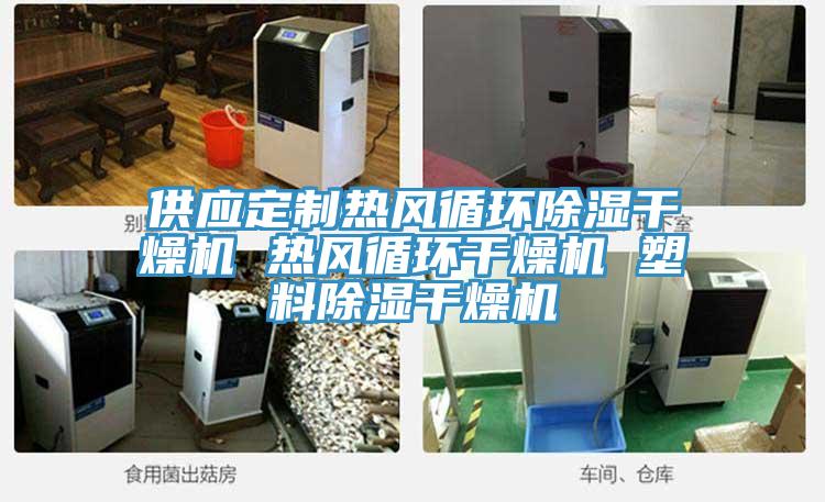 供應定制熱風(fēng)循環(huán)除濕干燥機 熱風(fēng)循環(huán)干燥機 塑料除濕干燥機