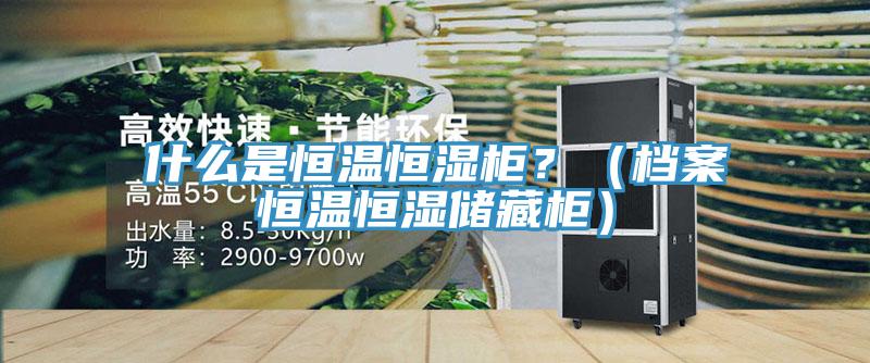 什么是恒溫恒濕柜？（檔案恒溫恒濕儲藏柜）