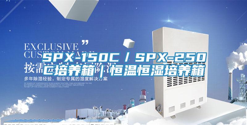 SPX-150C／SPX-250C培養箱｜恒溫恒濕培養箱