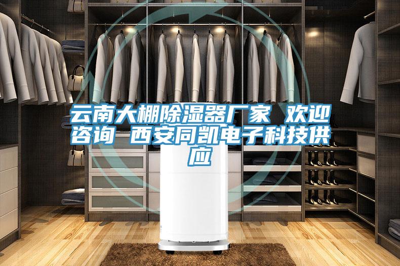 云南大棚除濕器廠(chǎng)家 歡迎咨詢(xún) 西安同凱電子科技供應