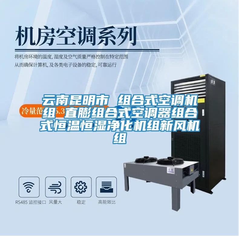 云南昆明市 組合式空調機組 直膨組合式空調器組合式恒溫恒濕凈化機組新風(fēng)機組