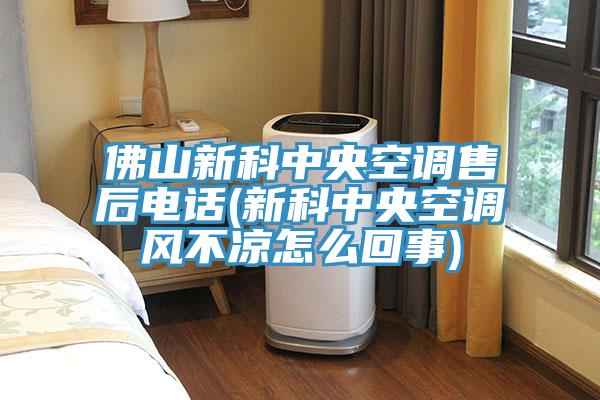 佛山新科中央空調售后電話(huà)(新科中央空調風(fēng)不涼怎么回事)