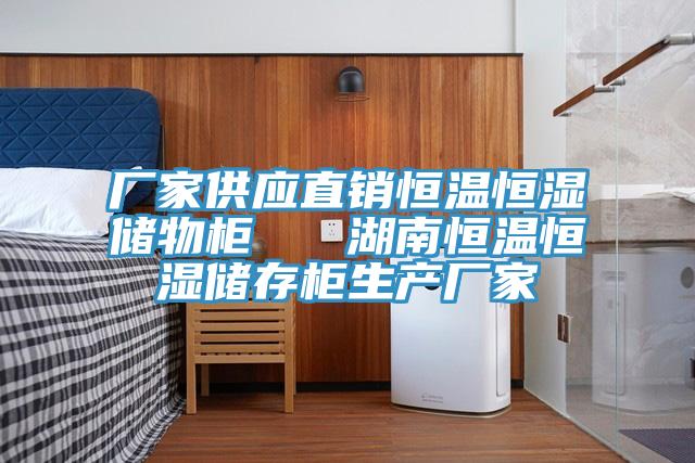 廠(chǎng)家供應直銷(xiāo)恒溫恒濕儲物柜   湖南恒溫恒濕儲存柜生產(chǎn)廠(chǎng)家