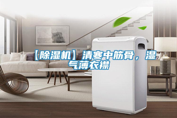 【除濕機】清寒中筋骨，濕氣薄衣襟