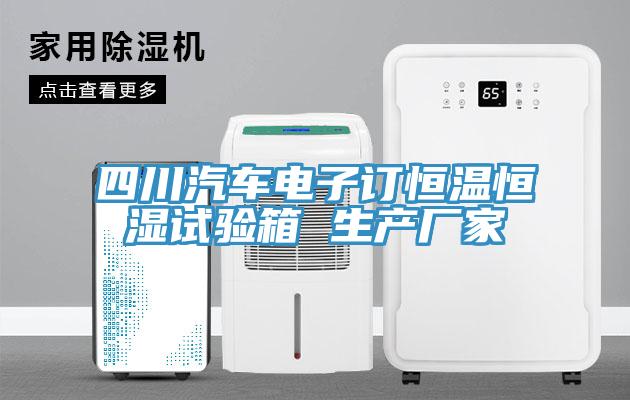 四川汽車(chē)電子訂恒溫恒濕試驗箱 生產(chǎn)廠(chǎng)家