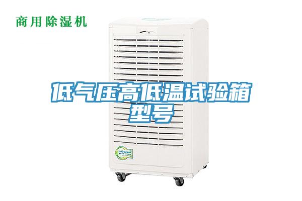 低氣壓高低溫試驗箱型號
