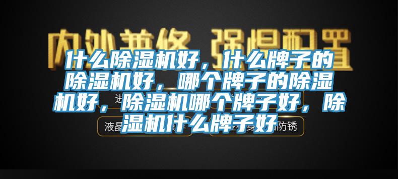 什么除濕機好，什么牌子的除濕機好，哪個(gè)牌子的除濕機好，除濕機哪個(gè)牌子好，除濕機什么牌子好