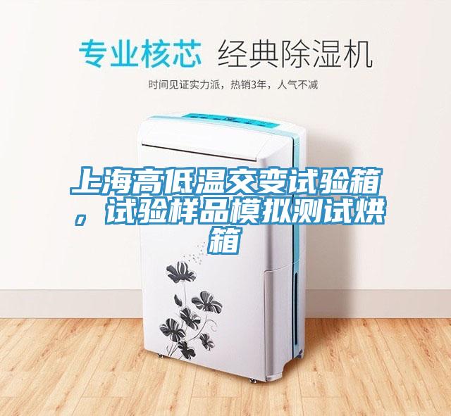 上海高低溫交變試驗箱，試驗樣品模擬測試烘箱