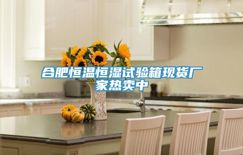 合肥恒溫恒濕試驗箱現貨廠(chǎng)家熱賣(mài)中