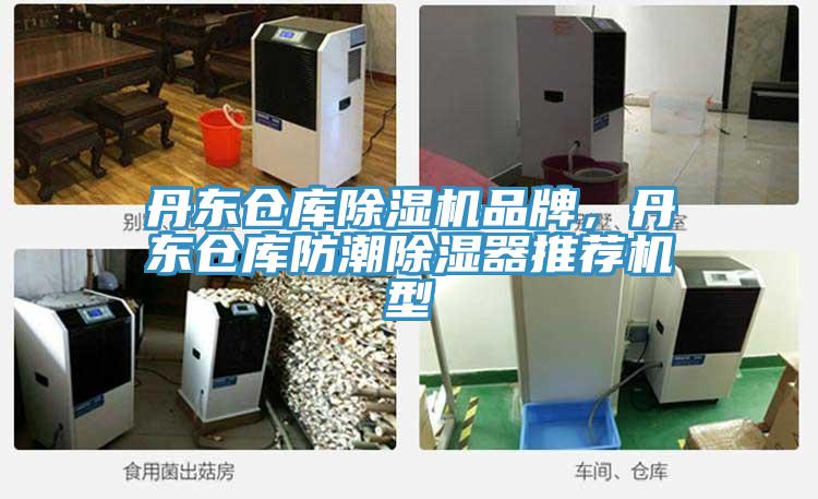 丹東倉庫除濕機品牌，丹東倉庫防潮除濕器推薦機型