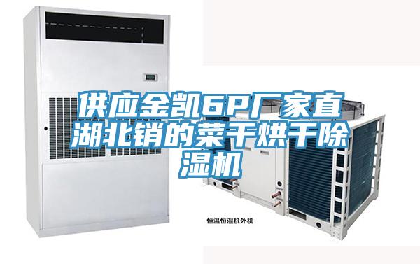供應金凱6P廠(chǎng)家直湖北銷(xiāo)的菜干烘干除濕機