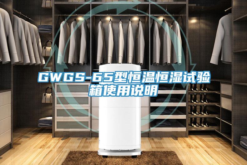 GWGS-65型恒溫恒濕試驗箱使用說(shuō)明