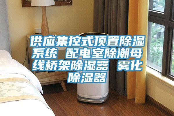 供應集控式頂置除濕系統 配電室除潮母線(xiàn)橋架除濕器 霧化除濕器