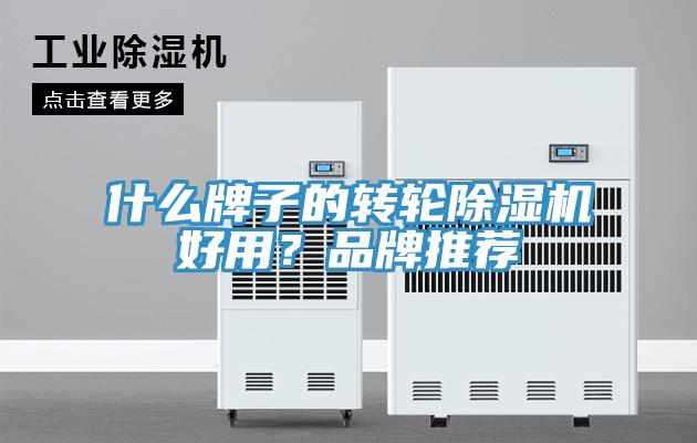 什么牌子的轉輪除濕機好用？品牌推薦