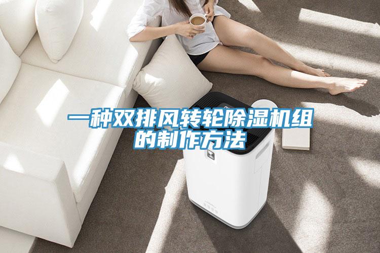 一種雙排風(fēng)轉輪除濕機組的制作方法