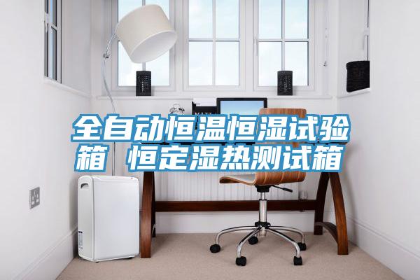 全自動(dòng)恒溫恒濕試驗箱 恒定濕熱測試箱