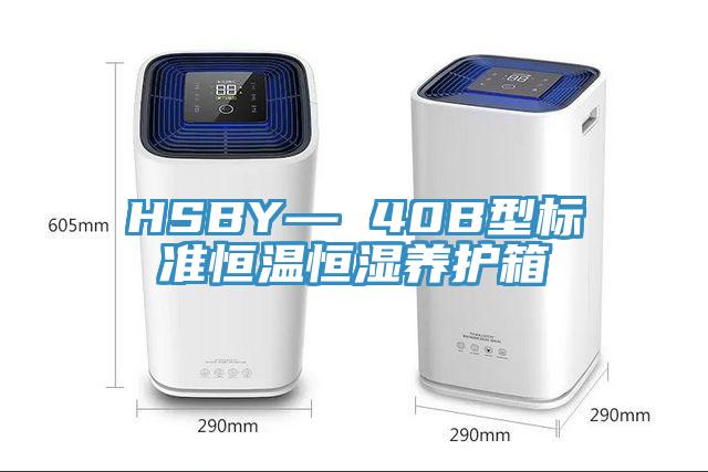 HSBY— 40B型標準恒溫恒濕養護箱