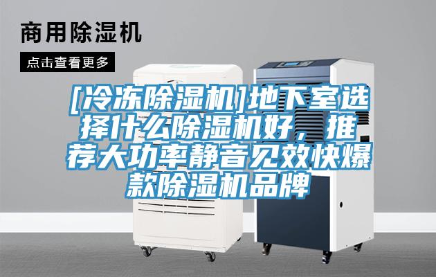 [冷凍除濕機]地下室選擇什么除濕機好，推薦大功率靜音見(jiàn)效快爆款除濕機品牌