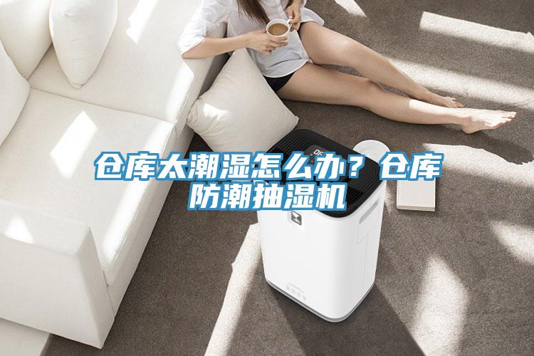 倉庫太潮濕怎么辦？倉庫防潮抽濕機