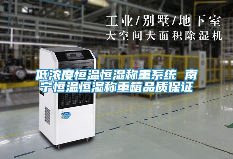 低濃度恒溫恒濕稱(chēng)重系統 南寧恒溫恒濕稱(chēng)重箱品質(zhì)保證