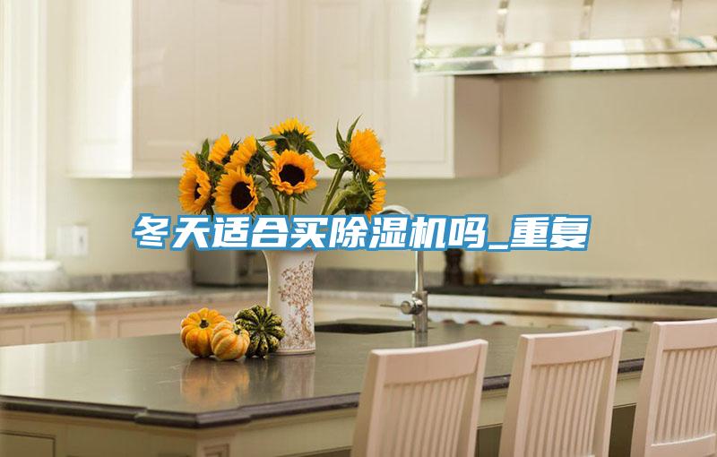 冬天適合買(mǎi)除濕機嗎_重復