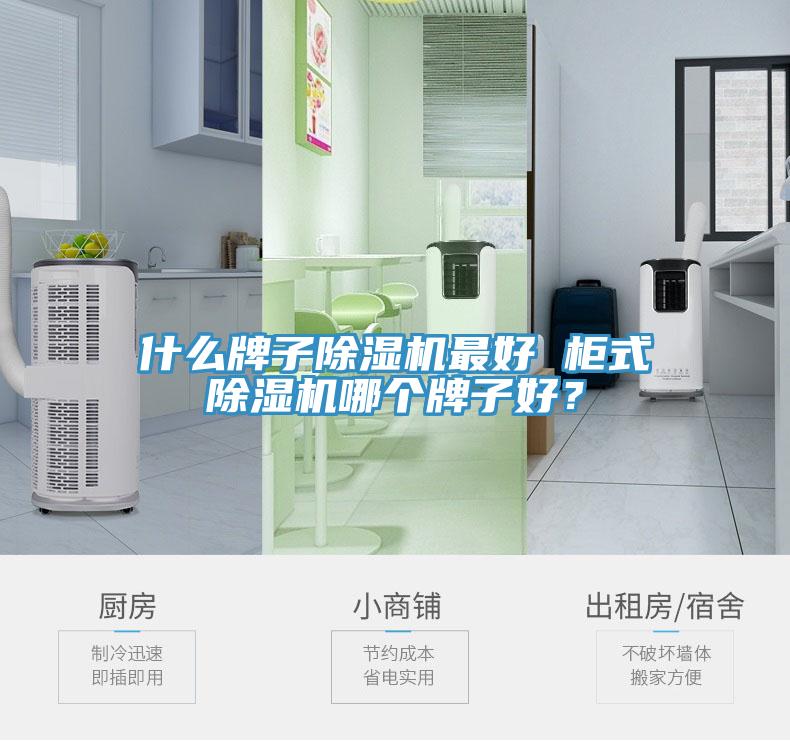 什么牌子除濕機最好 柜式除濕機哪個(gè)牌子好？