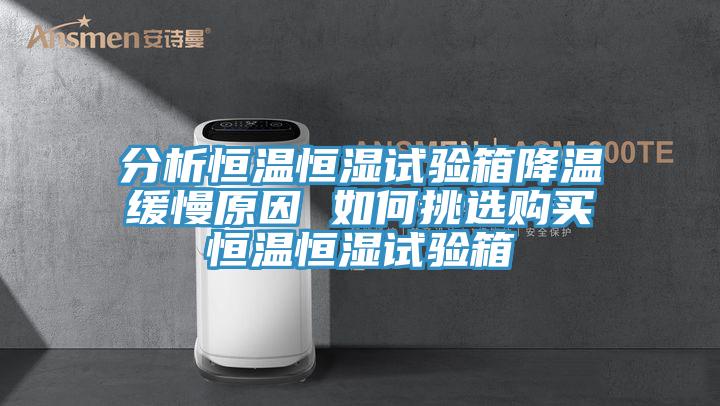 分析恒溫恒濕試驗箱降溫緩慢原因 如何挑選購買(mǎi)恒溫恒濕試驗箱