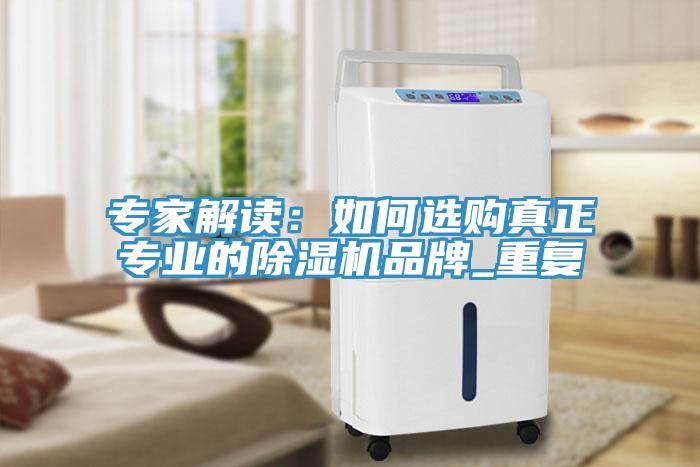 專(zhuān)家解讀：如何選購真正專(zhuān)業(yè)的除濕機品牌_重復