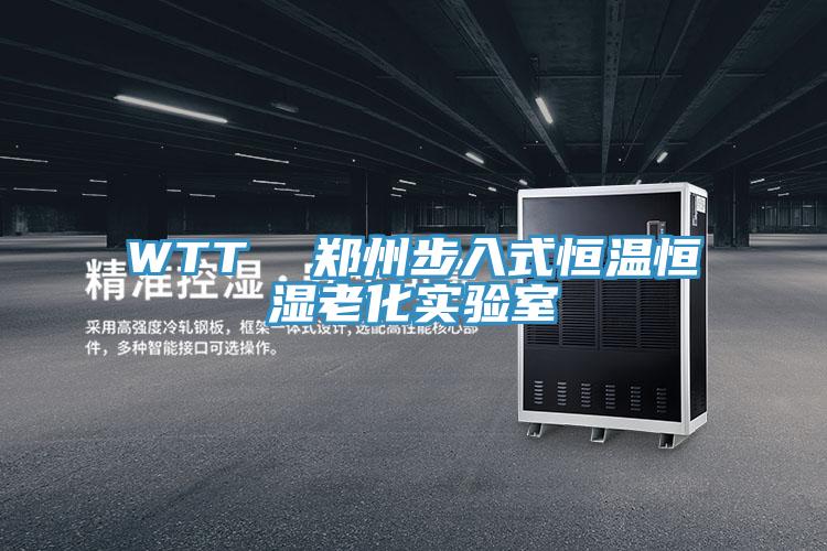 WTT  鄭州步入式恒溫恒濕老化實(shí)驗室