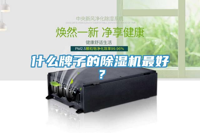 什么牌子的除濕機最好？