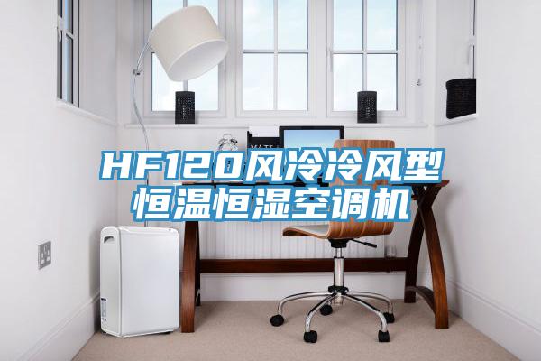 HF120風(fēng)冷冷風(fēng)型恒溫恒濕空調機