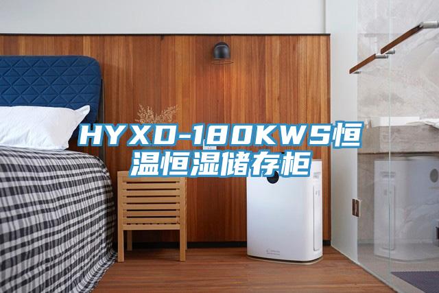 HYXD-180KWS恒溫恒濕儲存柜