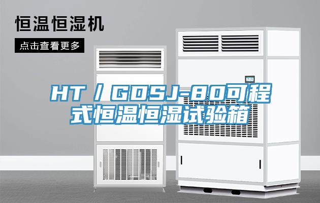 HT/GDSJ-80可程式恒溫恒濕試驗箱
